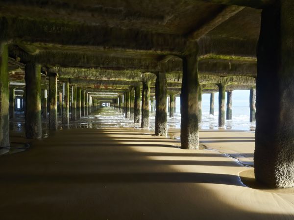 Cost of Concrete Pier Repair in Fort Collins