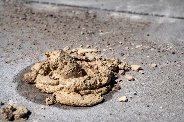 House Jacking Service